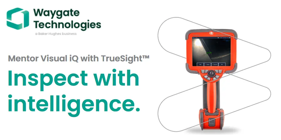 Mentor Visual IQ with TrueSight